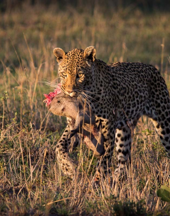 12Franscois Rosslee Wdw