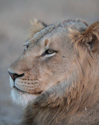 33Shaun Jenkinson Sp 21072019 Final