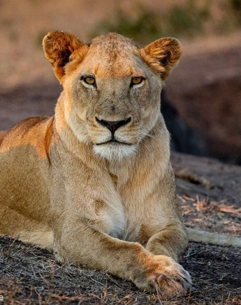 B24ronald Mutero Styx 29082021  Final B24ronald Mutero Styx 29082021  Final