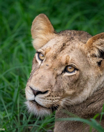 A02ronald Mutero Sp 08122021 2 Final A02ronald Mutero Sp 08122021 2 Final