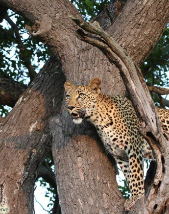 A10Erin Herbst Golonyi 2 090222 Final