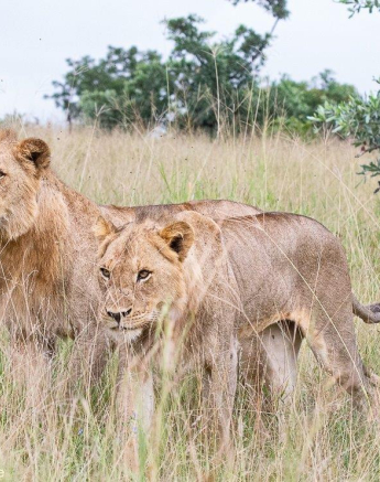 A15ronald Mutero Khambula Young Males 17022022 4 Final A15ronald Mutero Khambula Young Males 17022022 4 Final