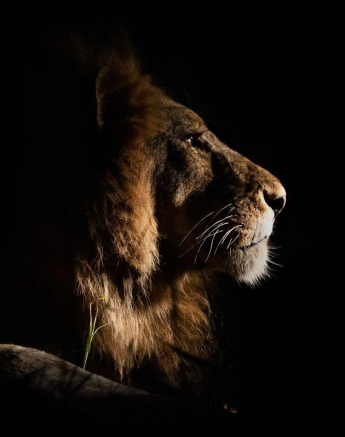 29Kerry Lee Roberg Avoca1004.2 Final