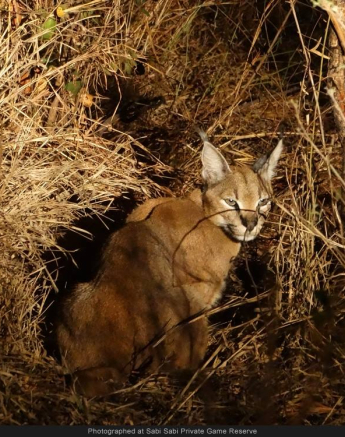 10338487 738754909505496 4395476780381558494 O