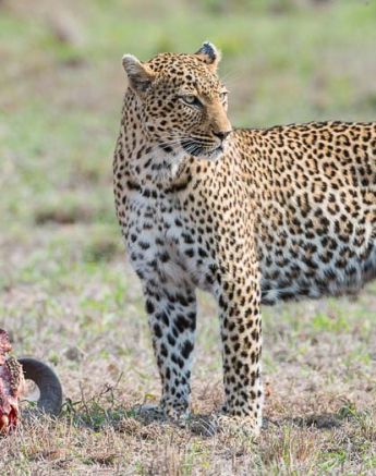 03Terry Ennever Highlights Sept Oct 11