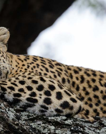 06Mike Palmer White Dam 071215 2