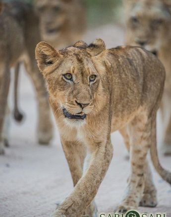 06Terry Ennever Sparta 9417 1 Final 06Terry Ennever Sparta 9417 1 Final