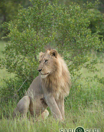 03Terry Ennever Avoca 22218 Final