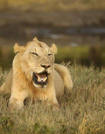 17Ally Ross 20190525 SP 01 Final 17Ally Ross 20190525 SP 01 Final