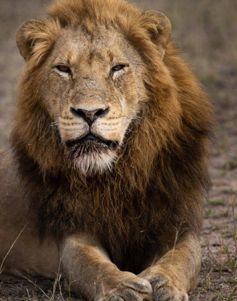 30Graeme Stewart Nwas Male 060920 2 Final 30Graeme Stewart Nwas Male 060920 2 Final