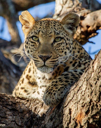 A23Daniel Greyvenstein Ntsumi 140622 1 Final A23Daniel Greyvenstein Ntsumi 140622 1 Final