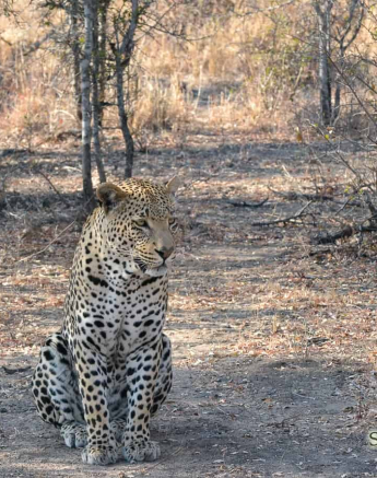 Ronald Mutero Wite Dam 28072019 1 Final Ronald Mutero Wite Dam 28072019 1 Final