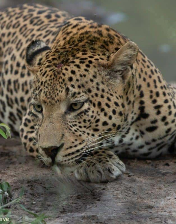 07Tyron Van Der Walt White Dam 030121 1 Final