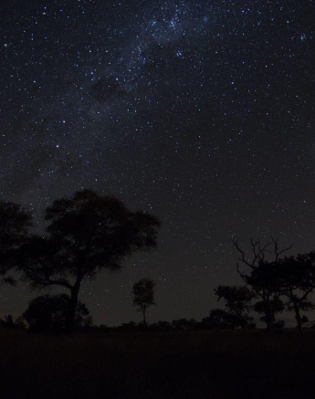 02Sheldon Hooper Star Stitch