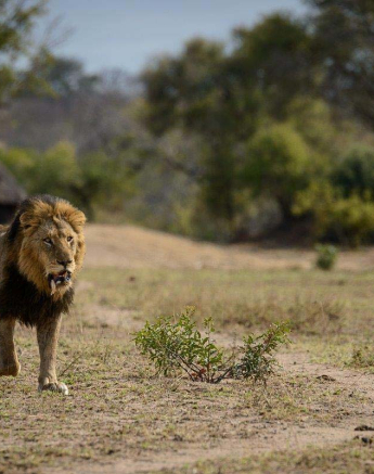 03Mike Palmer Mazino 310716 3 03Mike Palmer Mazino 310716 3