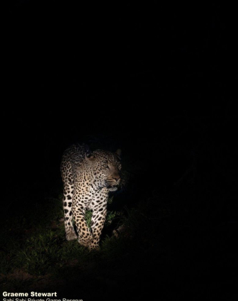 21Graeme Stewart Nchila 301020 1 Final