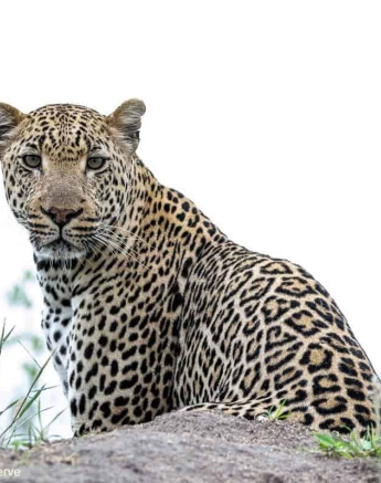 25ronaldmutero Nchila 22112020 14 Final 25ronaldmutero Nchila 22112020 14 Final