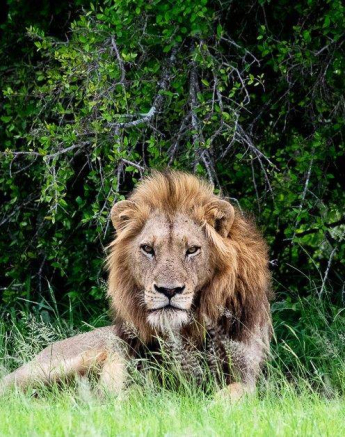 14ronald Mutero Nwash 03012021 2 Final