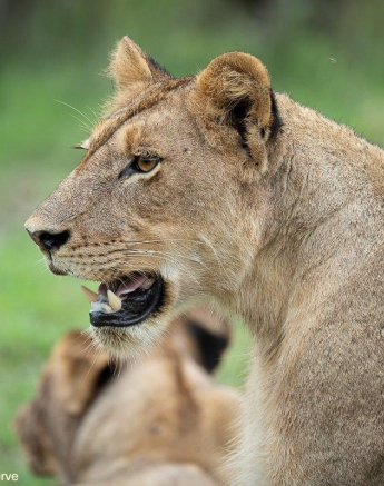 A21Daniel Greyvenstein Styx Pride 201222 1 Final