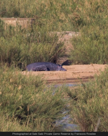 10295103 734127529968234 2408547707748659292 O