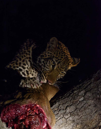 Mike Palmer Hlarulini 070316 7 Mike Palmer Hlarulini 070316 7