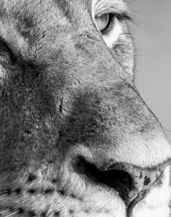 33Kyle 26 June Sp Light 5 Final