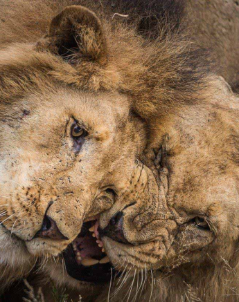 01Terry Ennever Avoca 25118 1 Final