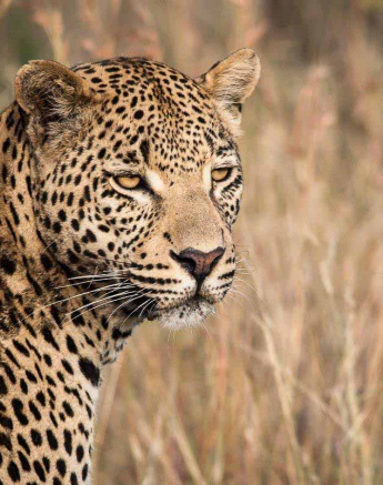 22Kerry Lee Roberg WD1 Final 22Kerry Lee Roberg WD1 Final