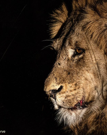 29Richard De Gouveia Nwas 25082020 Final