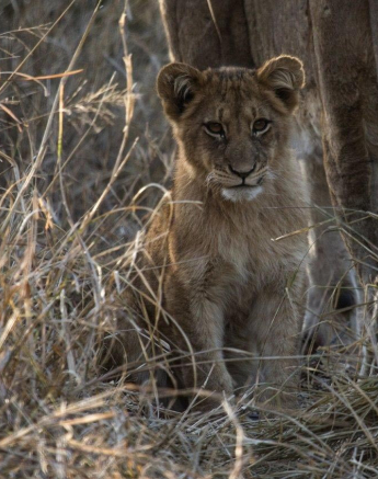 26Kevan Dobbie SP 2208.5 Final