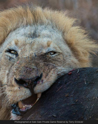 10515306 701487593232228 7520385898338068595 O