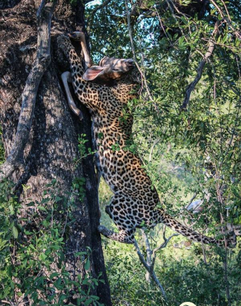 10978568 808101712570815 3439080664844610995 N