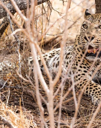 05Kevin Van Der Linde Maxabeni 17102019 Final