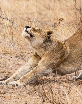 29Kevin Van Der Linde Othowa Mhangeni 15102019 3 Final