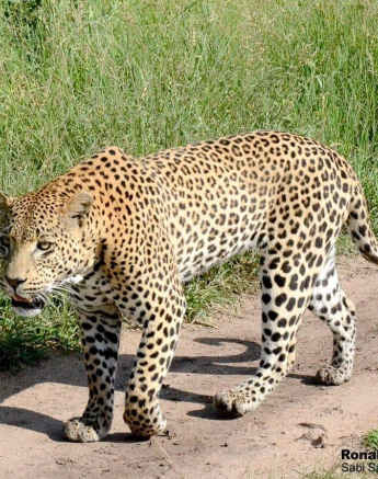 21Ronald Mutero White Dam 15022020 21 Final 21Ronald Mutero White Dam 15022020 21 Final