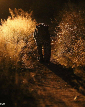 01Ally Ross 20200422 White Dam 02 Final