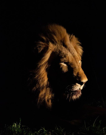 28Louise Murray Nwas 181020220 Final