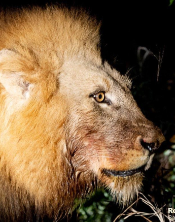 B25ronald Mutero Nwash 01082021 Final