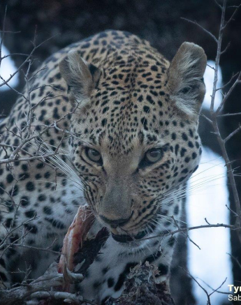 A20Tyron Van Der Walt Ntsumi 290921 1 Final