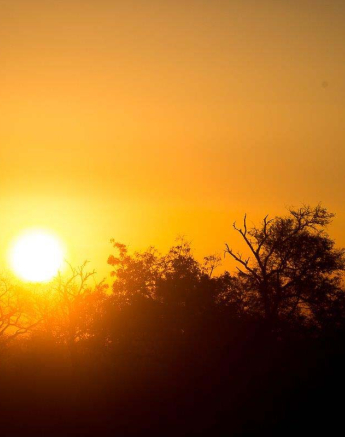04Sheldon Hooper Sunrise Over The Trees 04Sheldon Hooper Sunrise Over The Trees