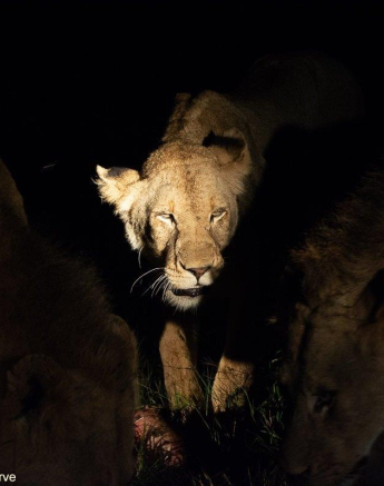 12ronald Mutero Talamati Female 02012023  2 Final