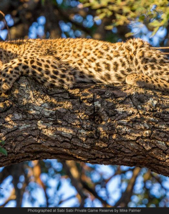 10466963 700683486645972 2657656188236222983 O