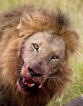 10828022 814182701962716 1831098079212546890 O