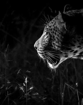 16Terry Ennever WDMSMB 2018510 Final 16Terry Ennever WDMSMB 2018510 Final