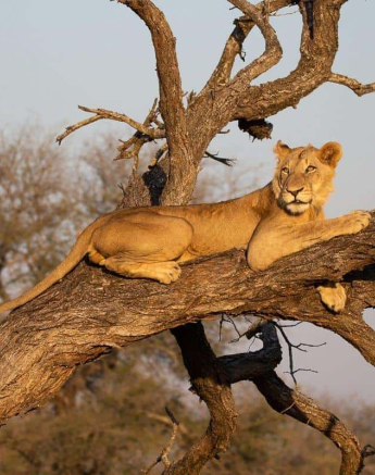 02Louise Murray Sp 06062019 2 Final 02Louise Murray Sp 06062019 2 Final