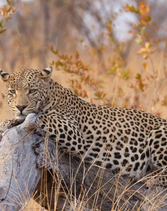 12Louise Murray WD 02082019 Final 12Louise Murray WD 02082019 Final