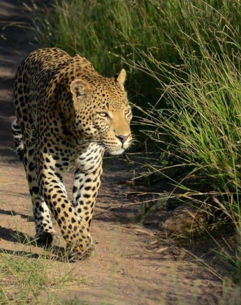 20Ronald Mutero White Dam 08022020  3 Final