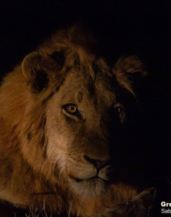 26Greg Heasman Styx 020920 2 Final 26Greg Heasman Styx 020920 2 Final