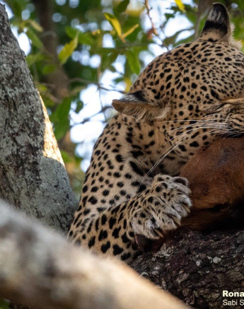 B08ronald Mutero Kigelia 29082021 3 Final B08ronald Mutero Kigelia 29082021 3 Final