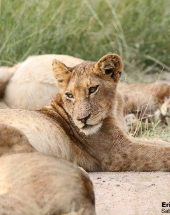 A06Erin Herbst Styx 230122 Final